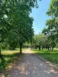 Park Falkplatz - Wunderschöne Altbauwohnung im beliebten Gleimkiez